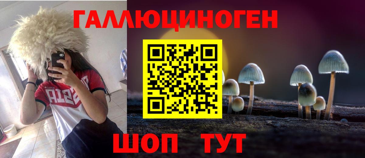 Псилоцибиновые грибы MAGIC MUSHROOMS Железноводск